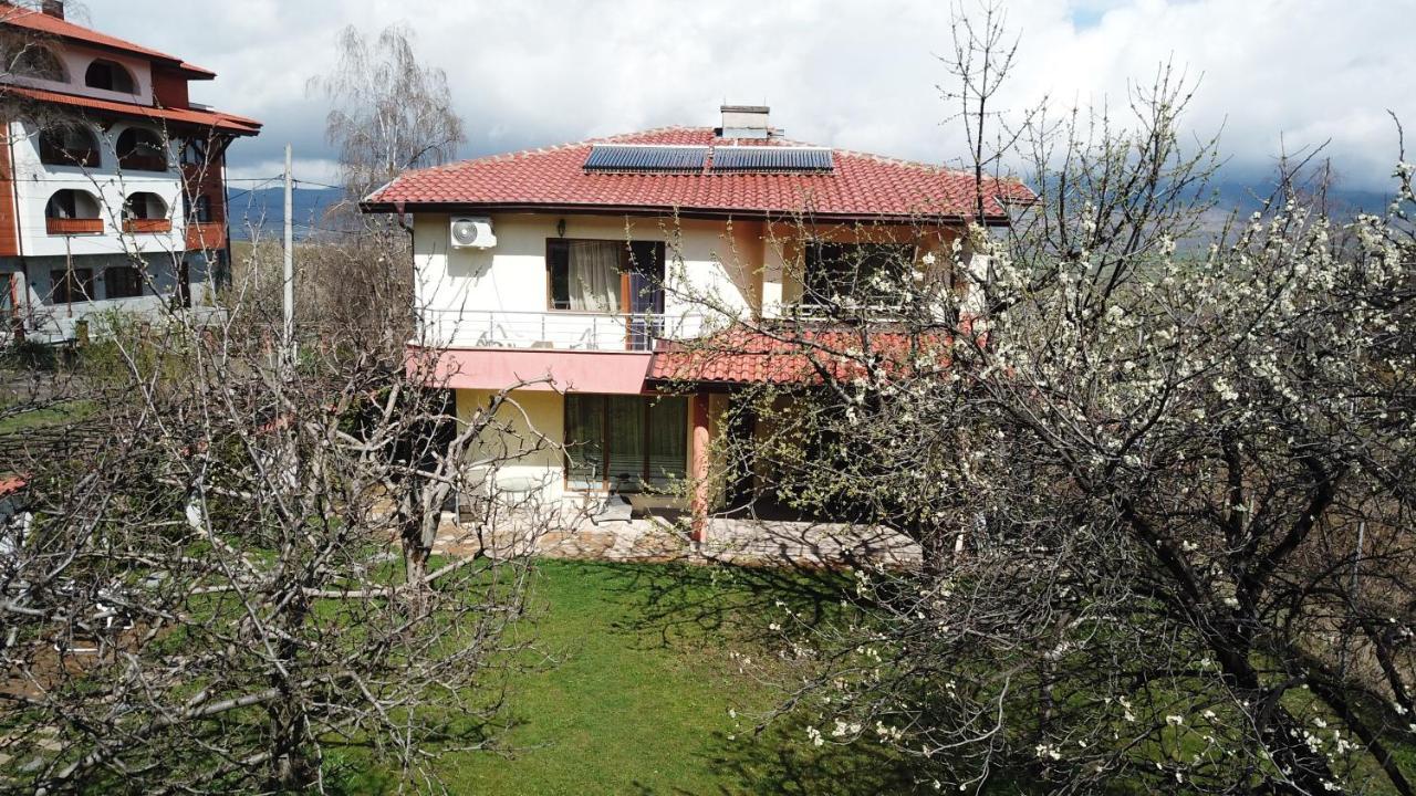 Kot Garden * Sapareva Bania