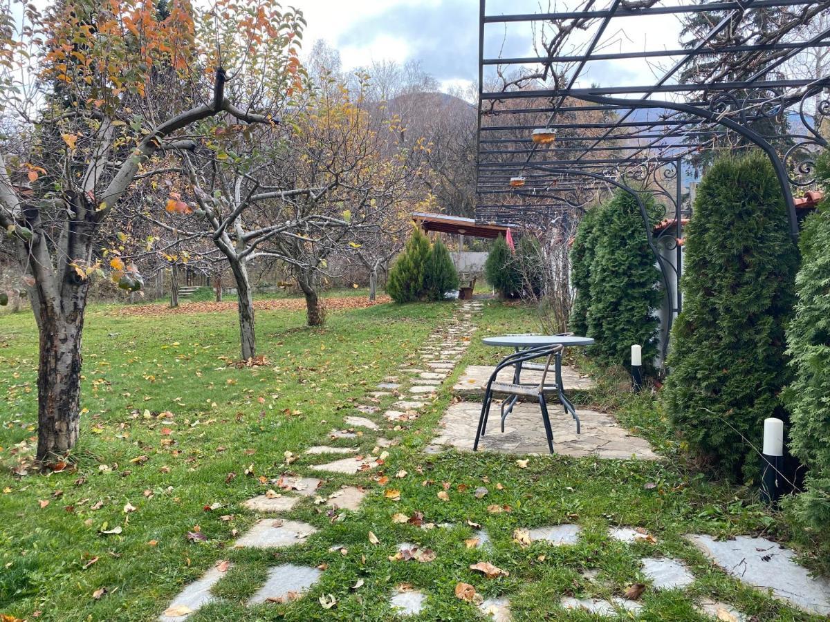 Kot Garden Sapareva Bania