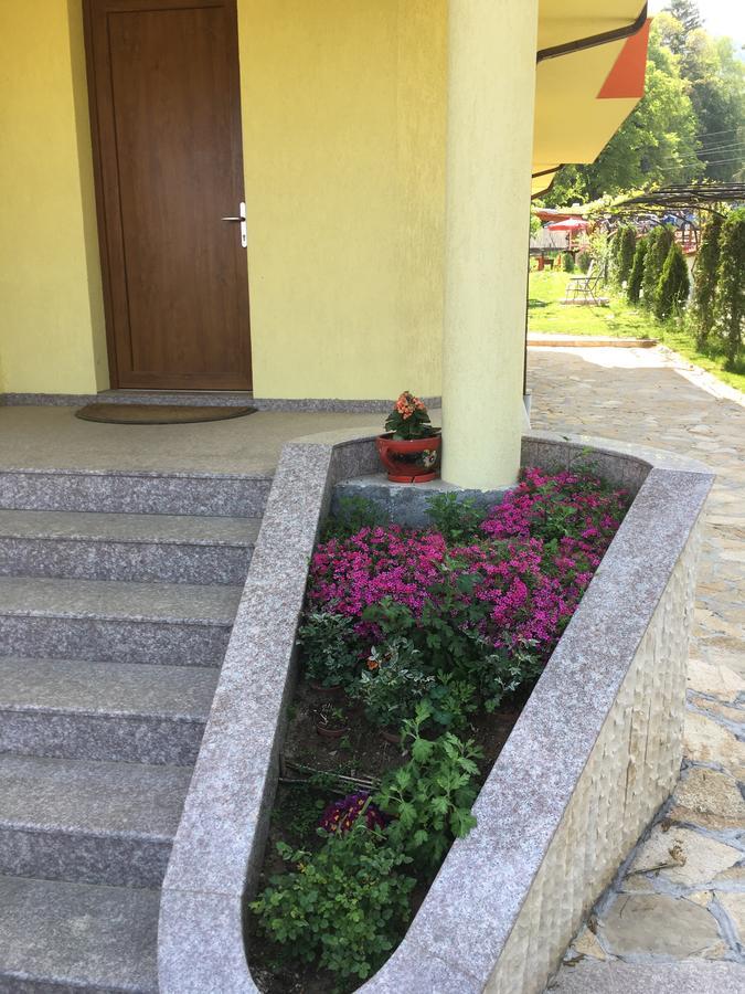 Kot Garden Pensiune